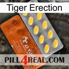 Tiger Erection 42